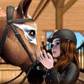 Star Equestrian - Rancho de Cavalos