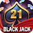 Blackjack 21 offline games-13