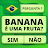 QuizzLand: Quiz Jogo de Trivia