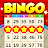 Bingo Holiday: Live Bingo Game-QI