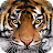 Ultimate Tiger Simulator 2-Cb