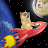 Dogecoin To The Moon-bw