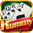 Rummy Classic 13 Card Game-tW