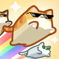 Box Cat Jam: jogo de blocos